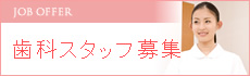 歯科助手 求人